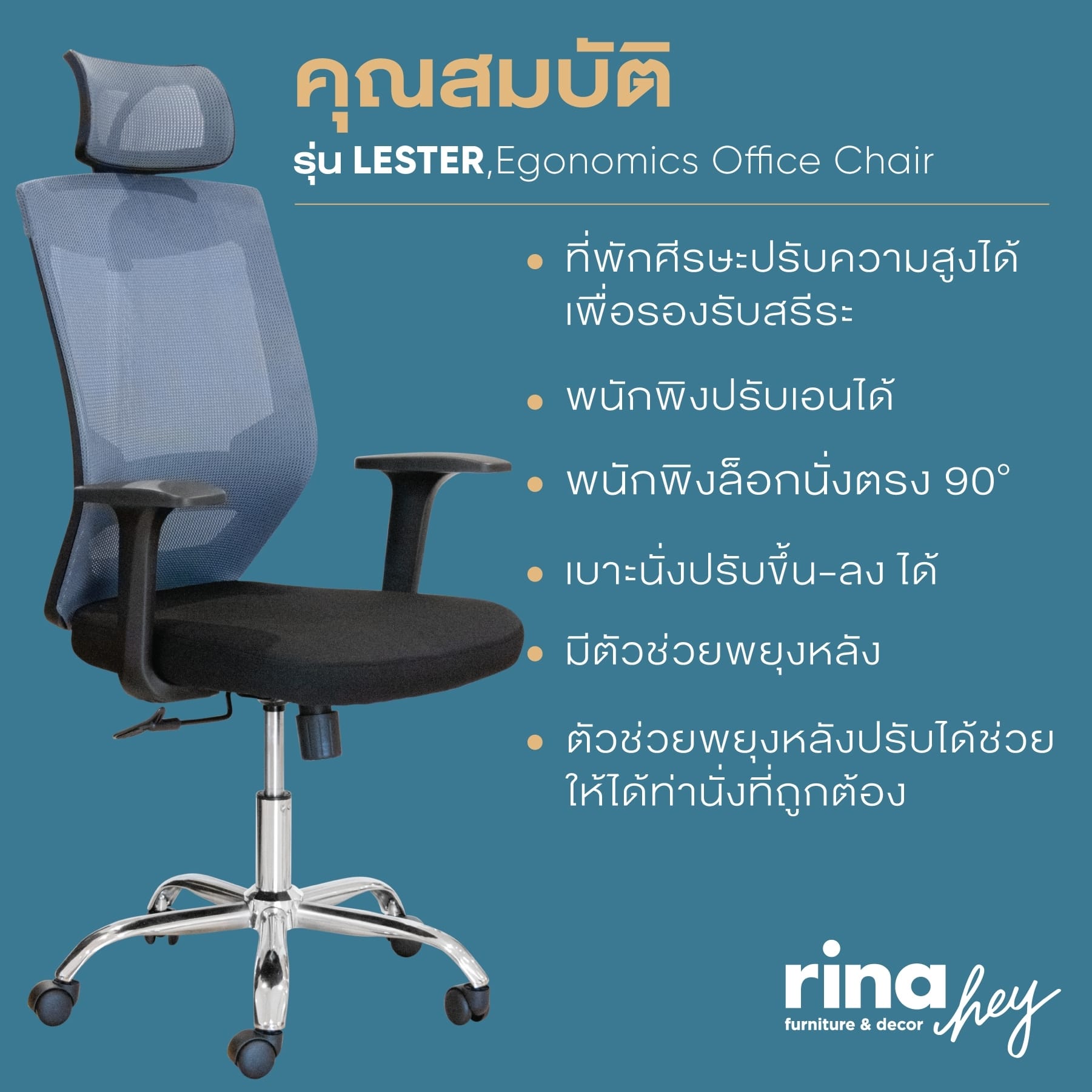 เก้าอี้สำนักงานเพื่อสุขภาพ RINA HEY รุ่น LESTER สี ดำ/เทา_1